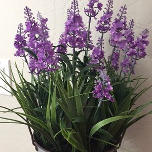 Meet your Posher, Sherril